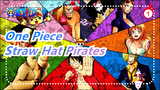 [One Piece] Straw Hat Pirates' Emotional Scenes, It's So Touching_1