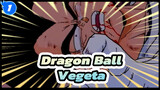 Dragon Ball Z|4 Crying Moment of Vegeta-The Pride Saiyan Prince_1