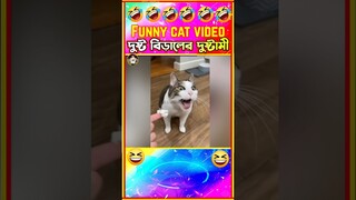 😂দুষ্ট বিড়ালের দুষ্টামী দেখ🤣| Funny Cat video | Funny animals | #shorts #funny #cat