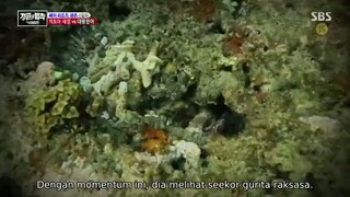 'L' 'O' 'T' 'J' Sumatera Indonesia Ep 257