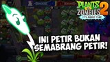 PETUALANGAN DI MAP BARU BAGI TUMBUHAN INI! - PLANT VS ZOMBIE 2