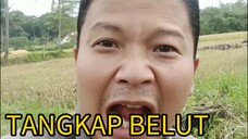 AYO TANGKAP BELUT