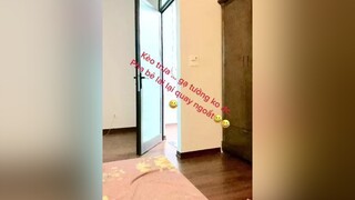 Kèo trưa ….giadinh giaitri vuinhon cười  @ clip giải trí