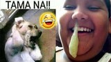 1 HOUR] TRY NOT TO LAUGH - Best Funny Vines of The YEAR! 2022