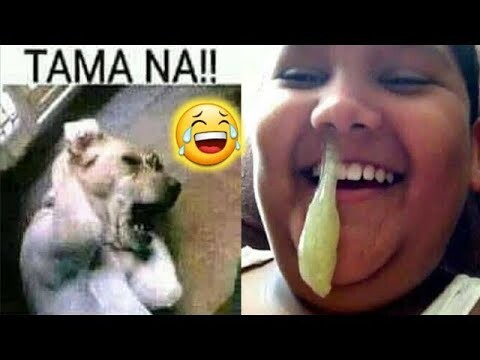 1 HOUR] TRY NOT TO LAUGH - Best Funny Vines of The YEAR! 2022