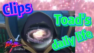 [The daily life of the fairy king]  Clips |  Toad's daily life
