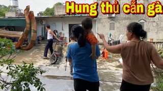 Phát Hiện Kẻ Săn Mồi Vào Cắn Hết Đàn Gia Cầm Cả Làng Kéo Đến Xem Kinh Sợ .