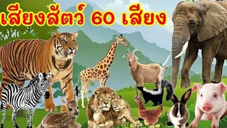 เสียงสัตว์ 60 เสียง พร้อมภาพและวีดีโอ สัตว์ป่านานาชนิด คำศัพท์เกี่ยวกับสัตว์เพื่อการเรียนรู้