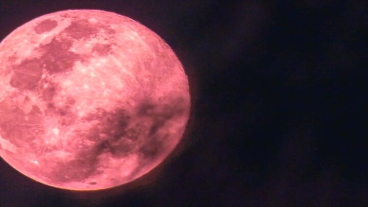 ♪beautiful beautiful strawberry moon♪