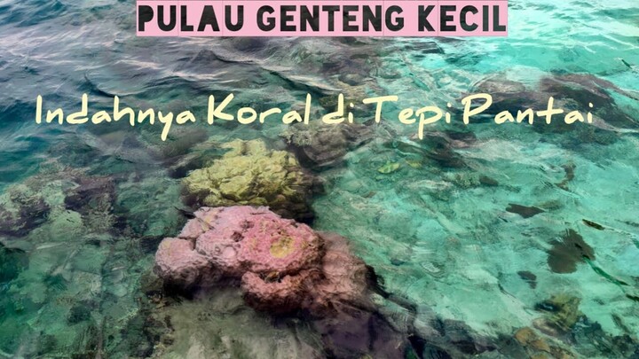 KORALNYA INDAH BANGET DAN BERADA DI PANTAI - PULAU GENTENG KECIL