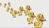 How many ducks_