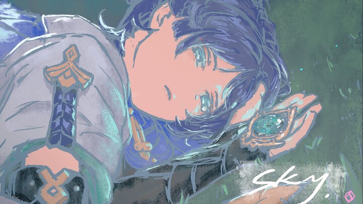 2025 Wanderer Birthday Party Items · Animation "Sky"