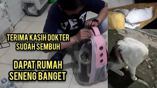 Alhamdulillah Kucing Jalanan Yang Di Siksa Akhirnya Pulang Dari Klinik Langsung Dapat Rumah..!