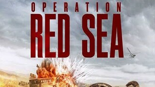 #operation_red_sea