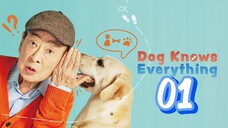 🇰🇷EP. 1 DOG KNOWS EVERYTHING (2024) | ENG SUB | HD 1080P | Comedy/Drama/SitCom