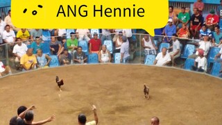 ANG Hennie (old video)