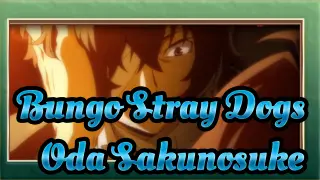 Bungo Stray Dogs|That Oda Sakunosuke, he's here