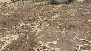 奔赴在简单快乐的人和生活里。