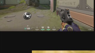 Gekko Ace