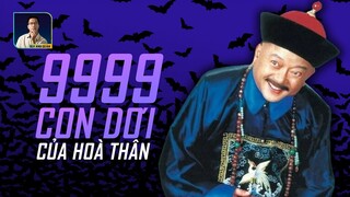 VÌ SAO TRONG NHÀ HOÀ THÂN CÓ ĐẾN 9999 CON DƠI?  | DISCOVERY