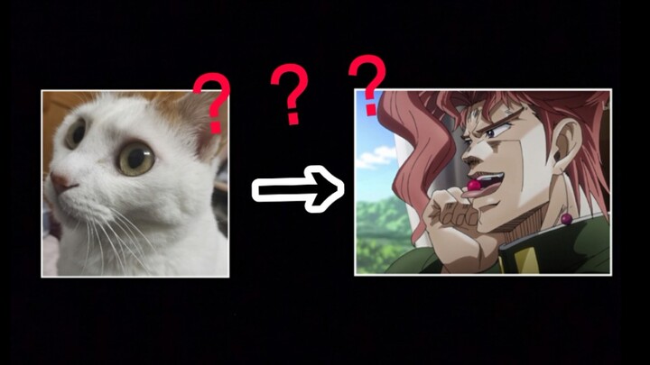 【JOJO】I turned my cat into Kakyoin? ? ?