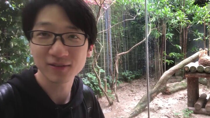 [Panshi] I spent 40 yuan to go to the zoo to see servals, but I was completely disillusioned with gi