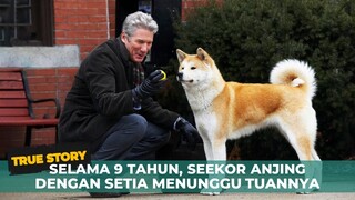 SELAMA 9 TAHUN, SEEKOR ANJING DENGAN SETIA MENUNGGU TUANNYA