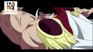 Vua Cờ Vây - Rap về Băng Râu Trắng (One Piece) #anime #schooltime