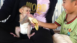 Adorable! So good brother hour Give a banana​ to little boy Maki While​ Maki Very hungry
