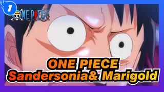 ONE PIECE|Luffy VS. Boa Sandersonia&Boa Marigold_1