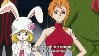 jimbei : sencho gue gini amat dah 😭