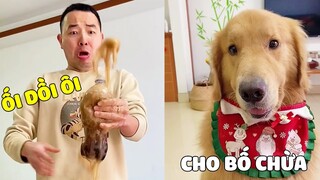 Tứ Mao | Khi Bố Dám Sai Vặt Tứ Mao Và Cái Kết Thì Ối Dồi Ôi Luôn 🤣 Gâu Đần Official