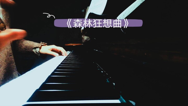 钢琴《森林狂想曲》——吴金黛