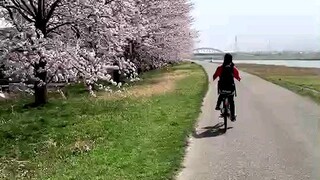 i can bike with flowers