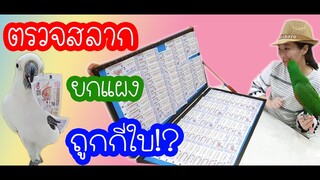 ตรวจสลากยกแผงถูกกี่ใบ (ล็อตเตอรี่) EP.135