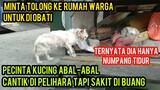 Allahu Akbar Kucing Scabies Parah Banget Keliling Rumah Warga Untuk Mencari Pertolongan