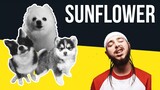 Sunflower but it's Doggos and Gabe