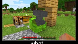 Minecraft รออะไร meme part 14 บล็อกเมือกที่สมจริง