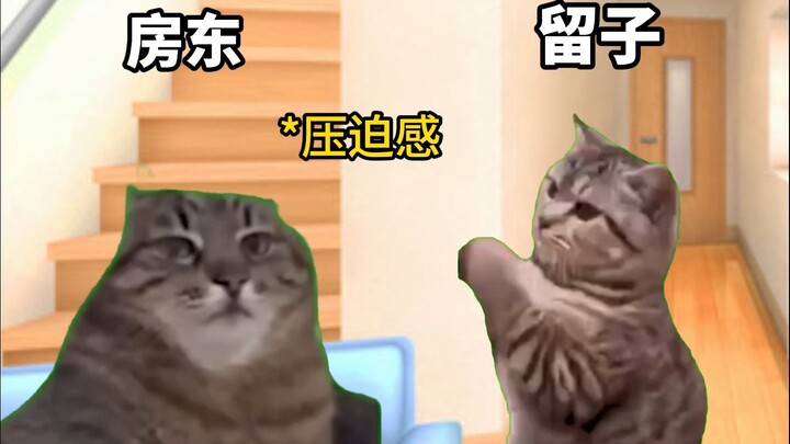 中国留子开party都在做什么？【猫meme】