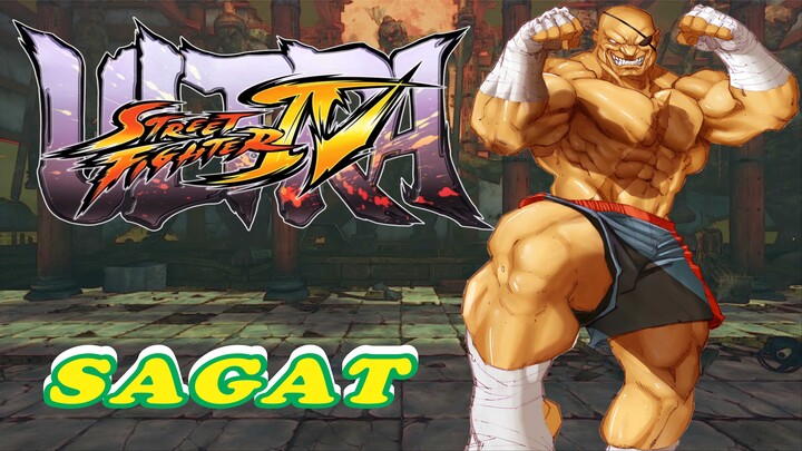 ULTRA STREET FIGHTER IV - SAGAT