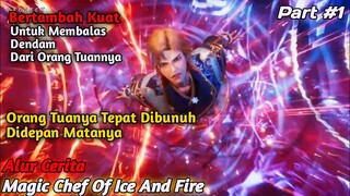 Menjadi Kuat Untuk Membalaskan Dendam Dari Orang Tuanya | Alur Cerita Magic Chef Of Ice And Fire