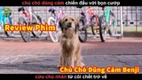 Chú chó Dũng Cảm cứu Chủ  từ Cõi Chết trở về - Review phim Chú Chó Dũng Cảm Benji