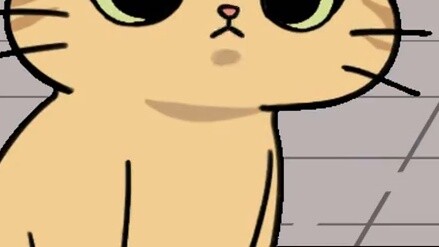 Do you know how to tell a cat's age?