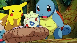 Pokémon 丨 Does Squirtle have no worries?