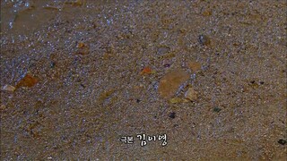 Dong Yi Episode 36