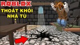 Mình Cùng 500 Anh Em Vượt Ngục Rồng || Trong ROBLOX..!!