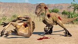 RAPTORS PACK HUNTING MINMI & STRUTHIOMIMUS IN DESERT - Jurassic World Evolution 2
