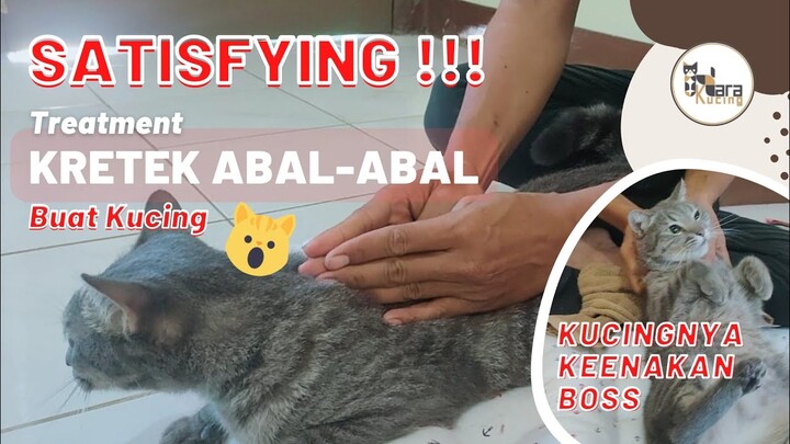 KRETEK ABAL ABAL KUCING