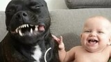 A dog loves its young master