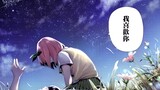 [MAD]Quà cưới cho Yotsuba|<Nhà Có 5 Nàng Dâu>